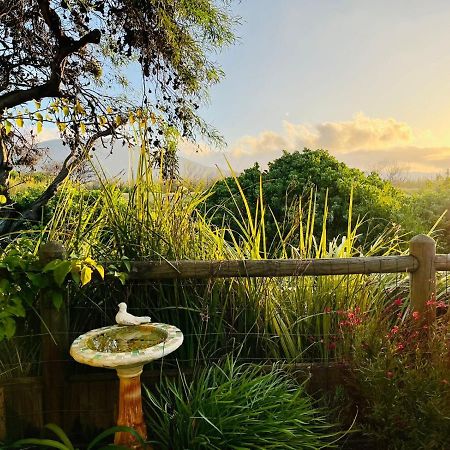 Sunbird Cottage Noordhoek Luaran gambar