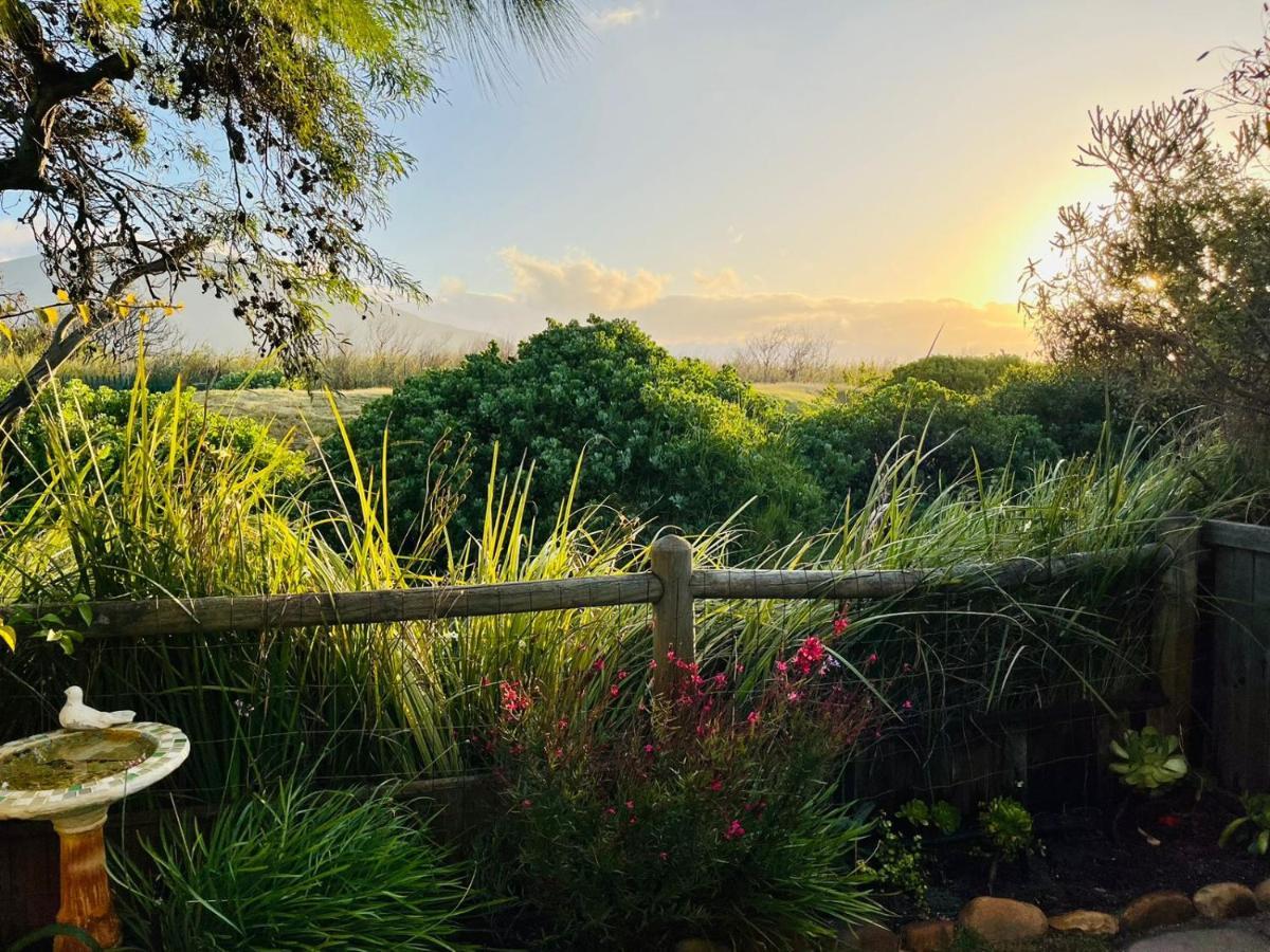 Sunbird Cottage Noordhoek Luaran gambar