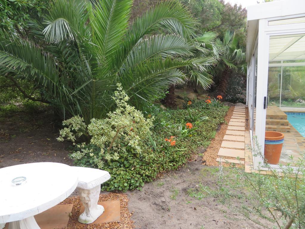 Sunbird Cottage Noordhoek Luaran gambar