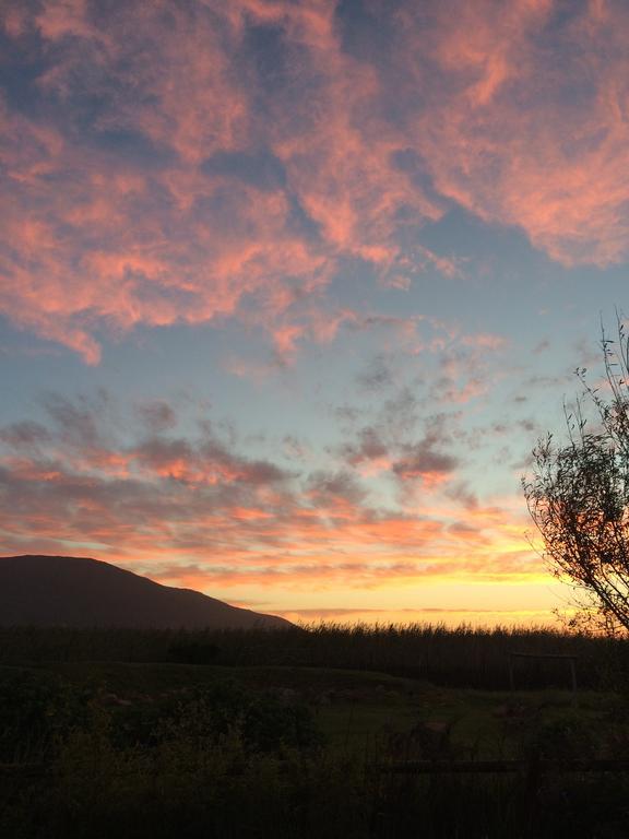 Sunbird Cottage Noordhoek Luaran gambar