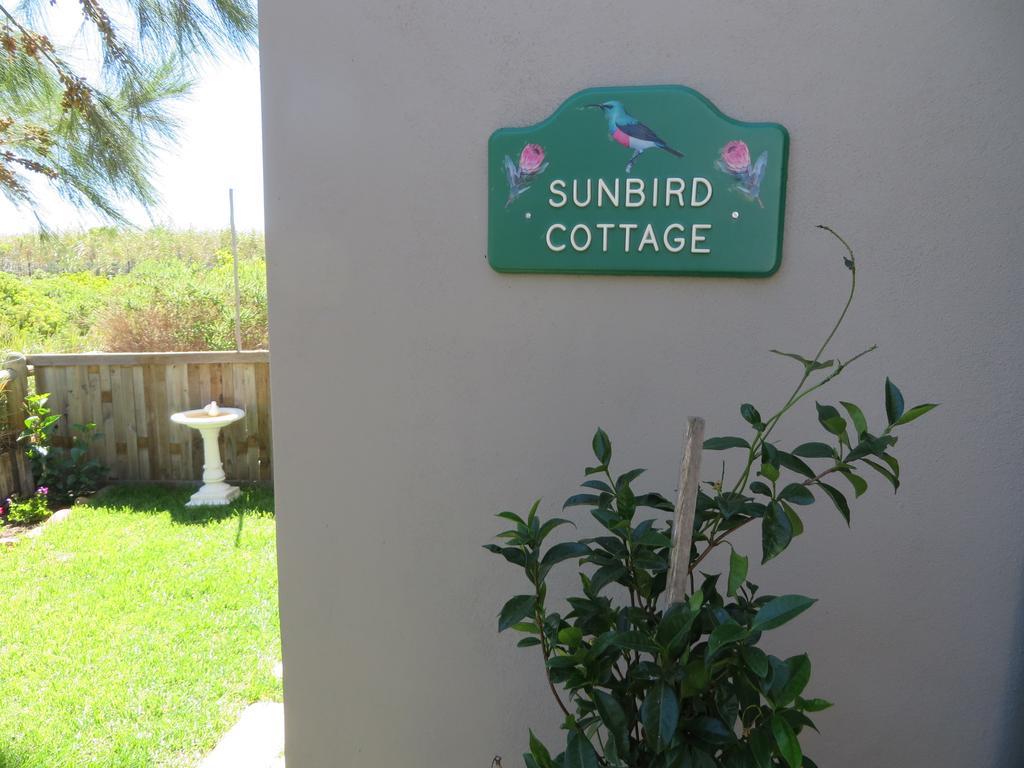 Sunbird Cottage Noordhoek Luaran gambar