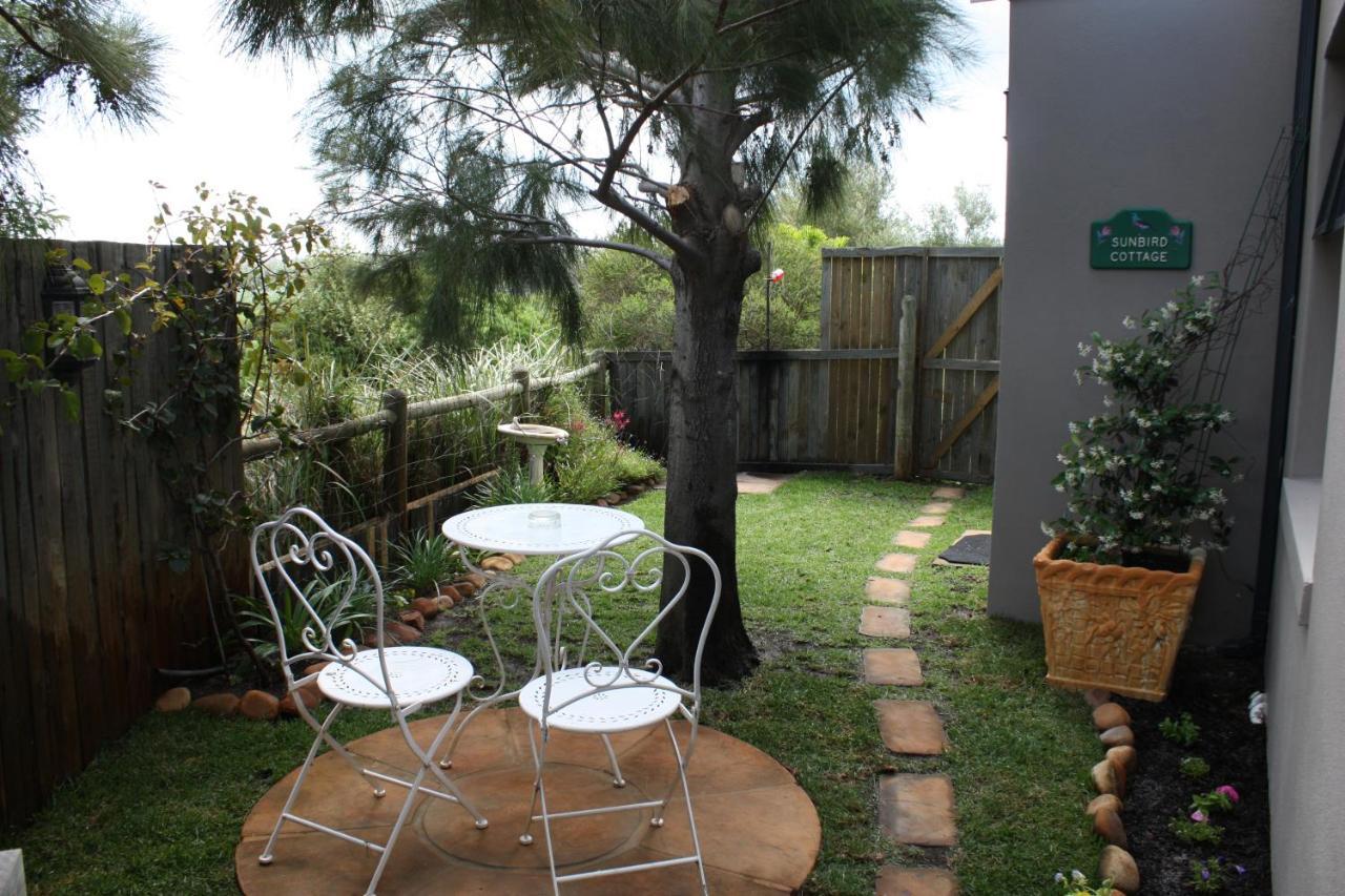 Sunbird Cottage Noordhoek Luaran gambar